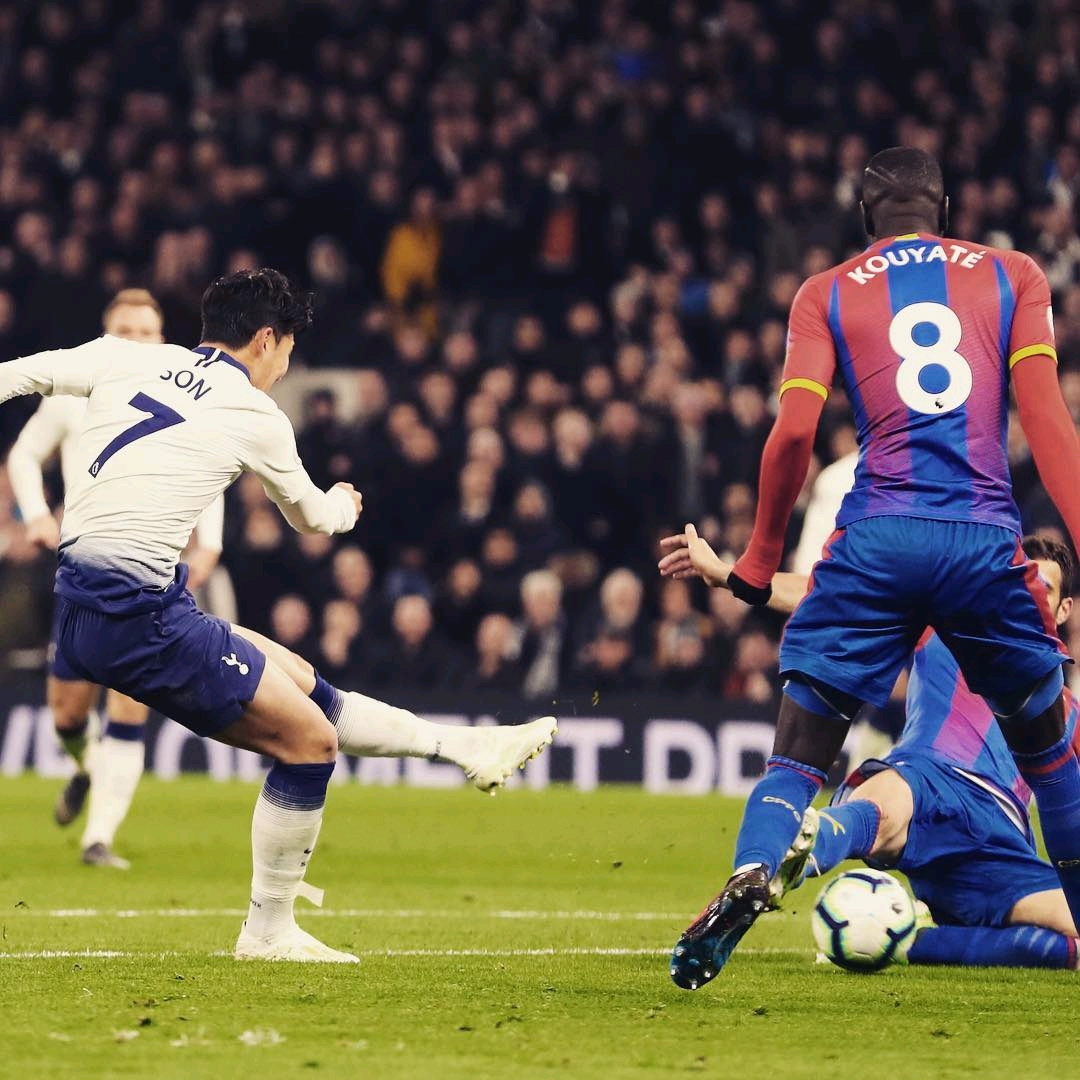 视与球迷的 视与球迷的